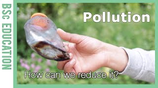 How can you contribute to the solution of pollution within WUR? | WURtube