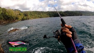 GANASNYA TARIKAN CUMI BABON || MANCING CUMI CUMI PINGGIRAN LAUT || SQUID FISHING