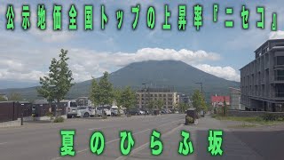 【4K散歩動画 】ニセコマウンテンリゾート グラン・ヒラフの『夏のひらふ坂』を散歩　2020年8月