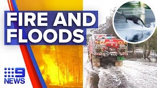 Fire-hit South Coast communities now flooding | Nine News Australia