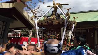 平成30年 平塚市 中堂 馬入 神明神社 例大祭 神輿発御 渡御