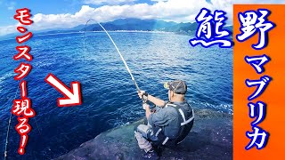 【衝撃映像】アジ丸ごと沈めてみたらとんでもない魚がヒットした！