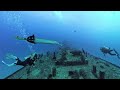 diving the sea tiger wreck in oahu hawaii