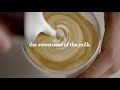 third wave specialty coffee discover the magic of microfoam breville usa