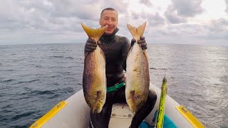 Spearfishing Dentex summer/autumn 2024 Part-2 @MANOS75O #dentex #spearfishing #greece