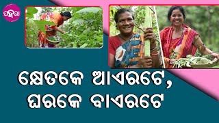 ଏନ୍ତା କଲେ ଦିହି ଭଲ ରହୁଛେ, ପଏସା ବଞ୍ଚୁଛେ, ପରିବେଶ୍ ବି ଭଲ ରହୁଛେ...