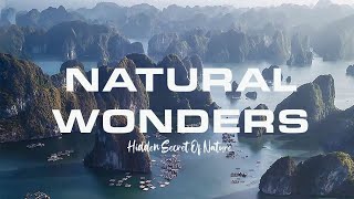 Uncover the Hidden Secrets of Nature