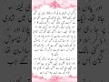 Malkin ka Shohar Urdu Short Story Kahani markaz short feed 2024
