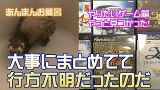 【発掘】やりたいと思っていたゲームを入れていた箱が発掘された！あんまんはお湯遊び♪【フェレット・お風呂・イース・Ys】