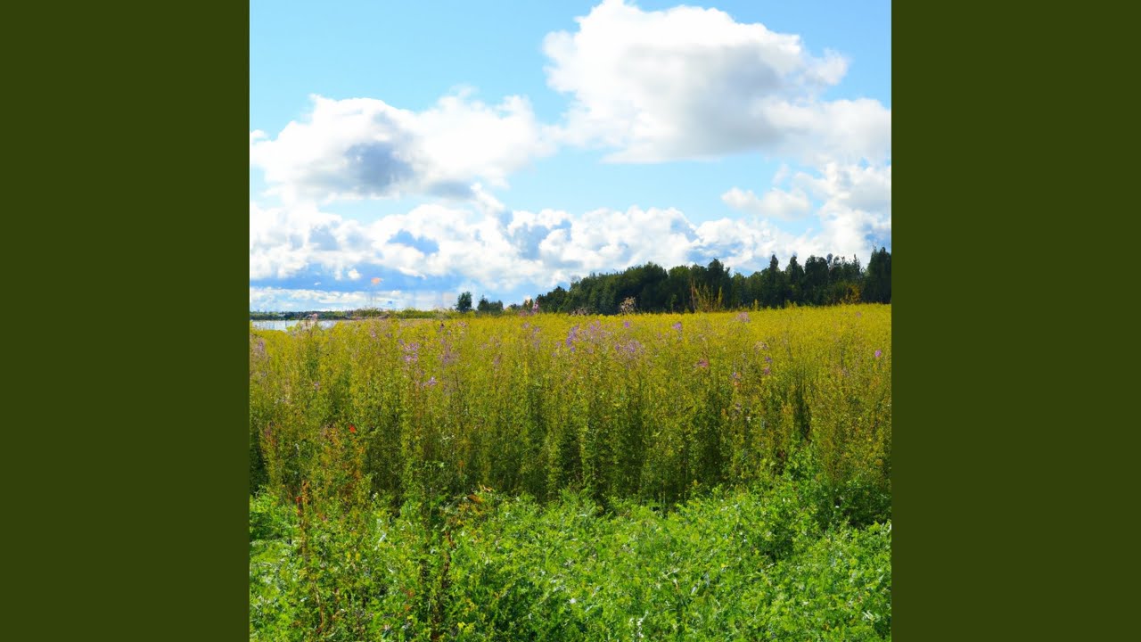 Facade Youtube Music