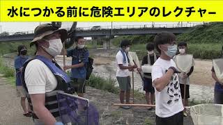 【枚方高校生物飼育部①】またもや枚方へ！枚方高校生物飼育部とガサガサ＃８(ガサガサ)