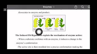 Biochemistry Revision Practical \u0026 Oral