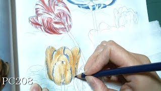 色鉛筆で塗り絵【大人のぬり絵　四季を彩る花の名作集】チューリップを塗るpart1