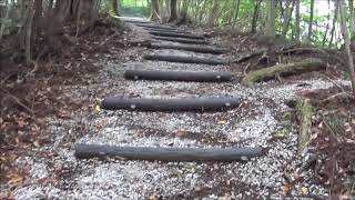 四国霊場21番太龍寺奥の院黒滝寺【御加持水】