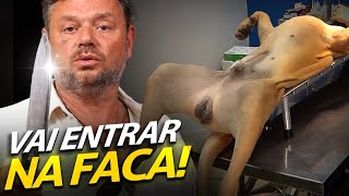 CASTRAMOS O NOSSO FILA MACHO! | A CASA DOS BICHOS