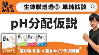 【ココでつまずく！】分子系とイオン系の比率か分かるPh分配仮説