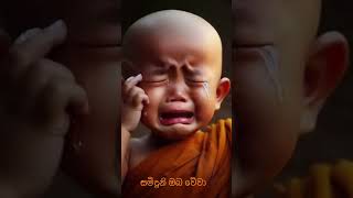 උපහාරයක්ම වේවා 🙏🙏🙏 #trending #shortvideos #viral