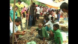 ব্রাহ্মণবাড়িয়ার নাসিরনগরে অনুষ্ঠিত হলো দিনব্যাপী শুঁটকি মেলা | Somoy TV