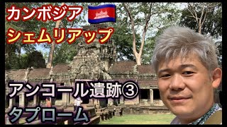 【アンコールワット・観光】アンコール遺跡③タプロームに行ってみた！世界遺産のアンコール遺跡群・カンボジア・シェムリアップ