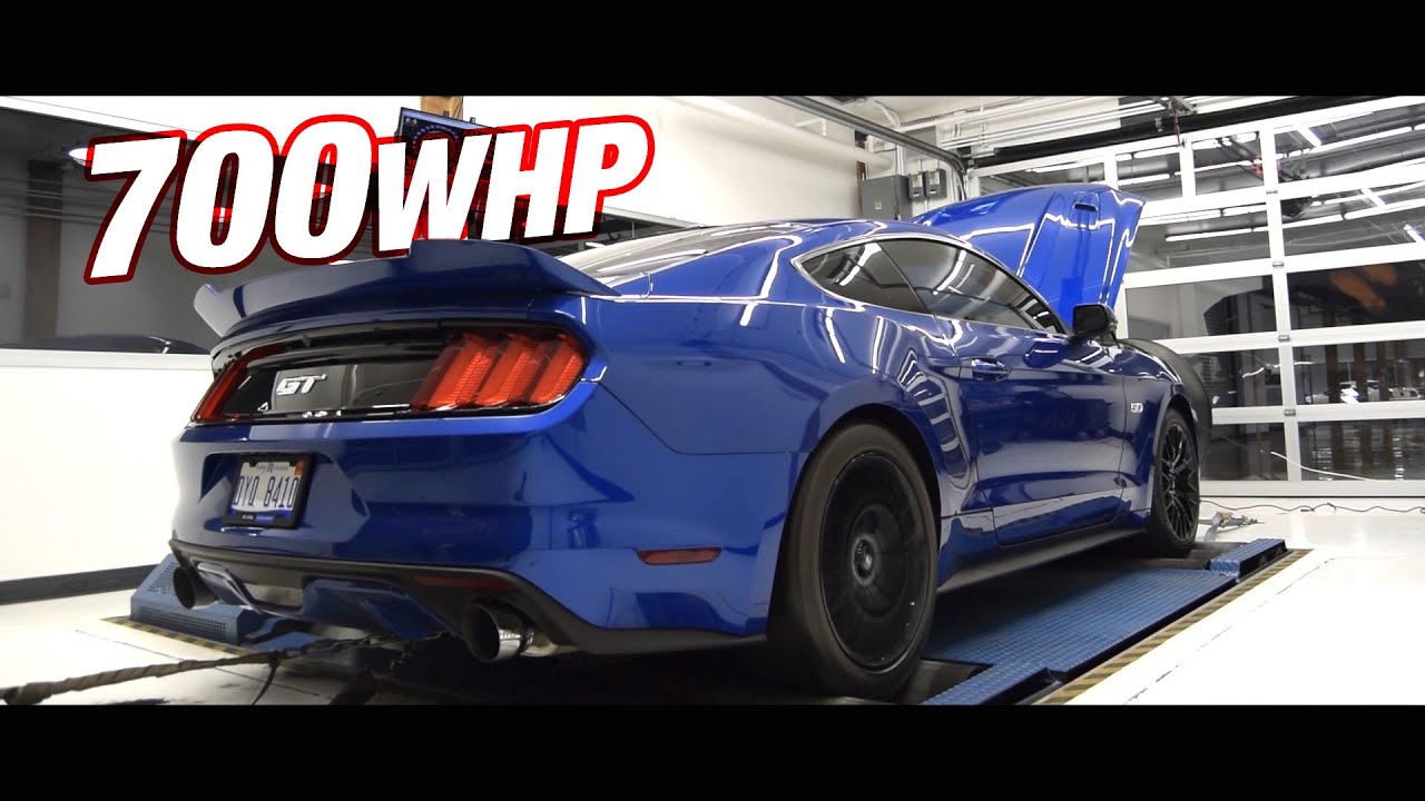 What Are Dyno Pulls At Fanny Payton Blog