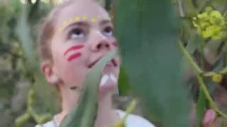 Vce Media Film 2016
