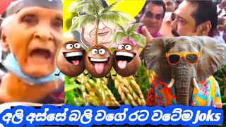 රට වටේට පිස්සු  ගොඩයි  | funny joks