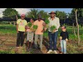 FAMÍLIA MAMOEIRO VISITANDO A HORTA E O ROÇADO DE IRMÃO EDVALDO NO SÍTIO CAMBAMBA, VERDEJANTE-PE.