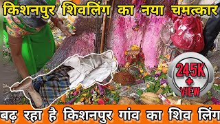 किशनपुर शिवलिंग का चमत्कार | किशनपुर शिवलिंग बढ़ रहा है | kishanpur shivling mahasamund | #kishanpur