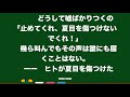 夏目友人帳　ショートストーリー　夜の海