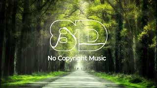 Ripple - Everyday | 8D | No Copyright Music