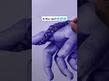 unbelievable realistic ballpoint pen drawing