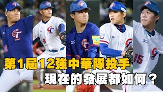 2015年第1屆12強中華隊投手，現在的發展都如何？