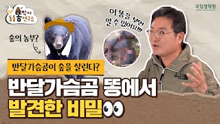 [똥박사 연구소] 반달가슴곰이 숲을 살린다? 반달가슴곰 똥에서 발견한 비밀