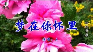 龙飘飘一首《梦在你怀里》MV经典老歌，悦耳动听，满满的回忆！