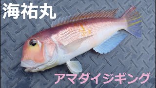 ジギングで狙う日本海のアマダイ！！