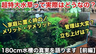 アクアリウムの話をしよう！WASABIの水草水槽④超大型水槽１８０cm水槽編（前編）、ADAネイチャーアクアリウム立ち上げ初心者、水草レイアウト水槽の作り方、山水石、有茎草、陰性水草、流木ホーンウッド