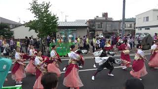 環温  銭形よさこい2019  柳町会場