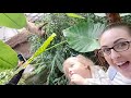 Banham Zoo - Sloth - Tamsin Video 3 - 31/7/21