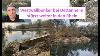 Westwallbunker Dettenheim stürzt weiter in den Rhein. Forgotten Westwall Bunkers  Rhine Germany.