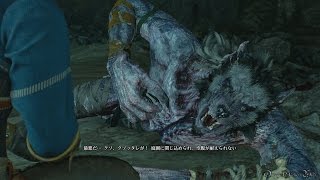 【PS4】The Witcher 3: Wild Hunt - Part 141 ・ Side Quest 狼の皮をかぶって/In Wolf's Clothing