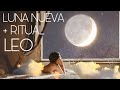 LEO LUNA NUEVA + RITUAL 🌙…LIBÉRATE DE LAS ATADURAS!!!…➡️➡️➡️⭐️