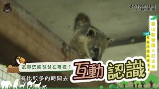 線上動物園 ep5 長鼻浣熊篇（高雄好家宅 防疫電視台）feat 打火哥蔡宗翰