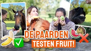 TASTE TEST Welk fruit eten onze paarden?!