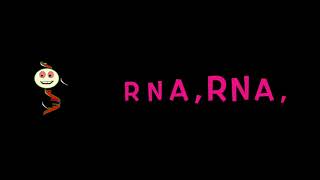 RNA song  #english #rna  #kidsscience