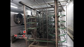 NQ High Speed Automatic Stick Ice Cream Magnum Popsicle Chocolate Extrusion Tunnel Production Line