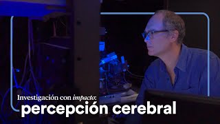 Estudio de la percepción para comprender mejor las disfunciones cerebrales | CaixaResearch