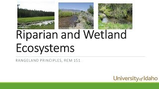 Riparian and Wetland Ecosystems on Rangeland