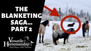 THE BLANKETING SAGA (the herds reaction) // Versatile Horsemanship