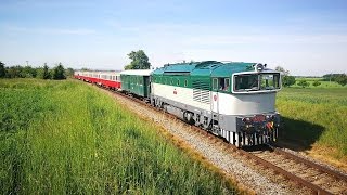 Brejlovec T478.3101,Veleliby,21.5.2016