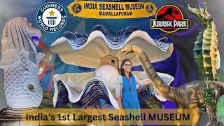 India Seashell Museum | Mamallapuram | India's first largest Seashell Museum #trip